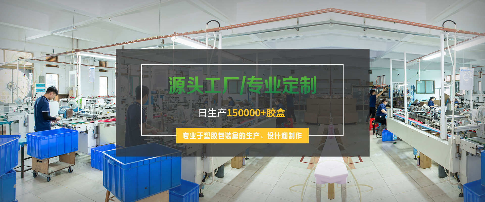 关于FYTBET官网
